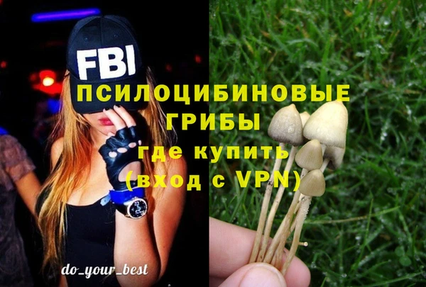 синтетический гашиш Алексеевка