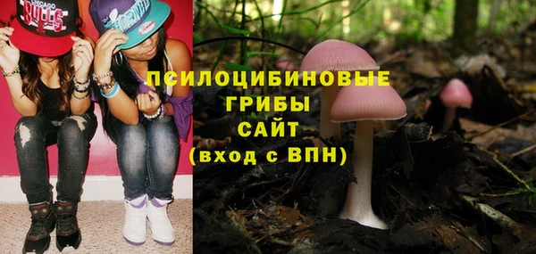 синтетический гашиш Алексеевка