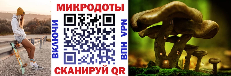 Галлюциногенные грибы Magic Shrooms Ковылкино